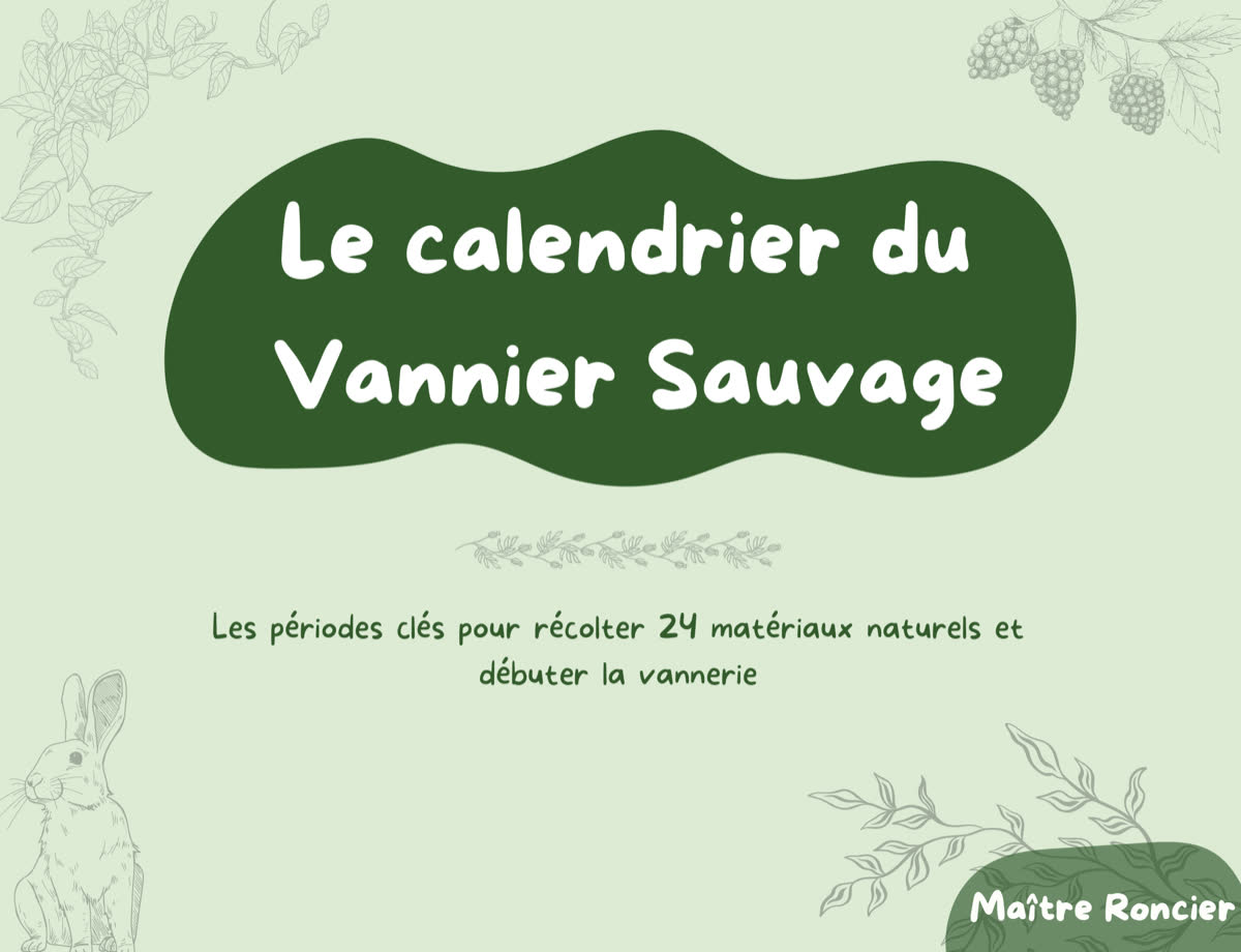 Aperçu du calendrier du Vannier Sauvage