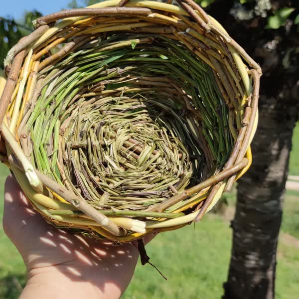L'artisanat sauvage à portée de main