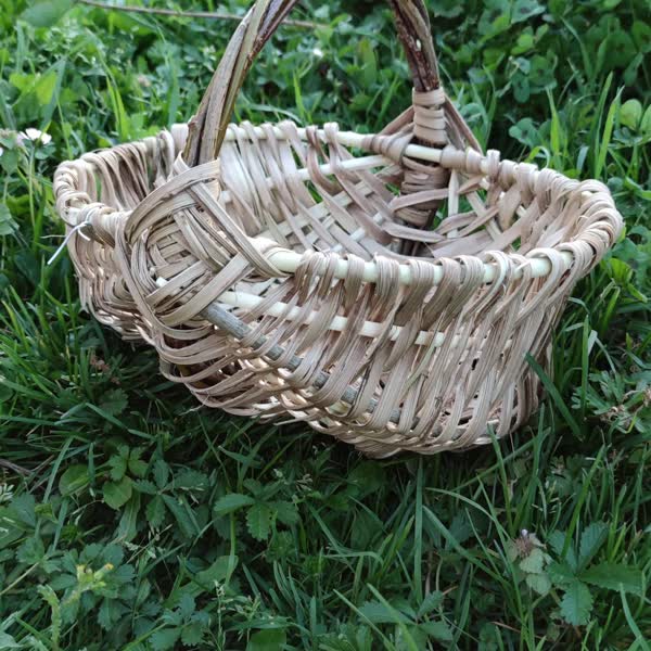 Panier en vannerie sauvage