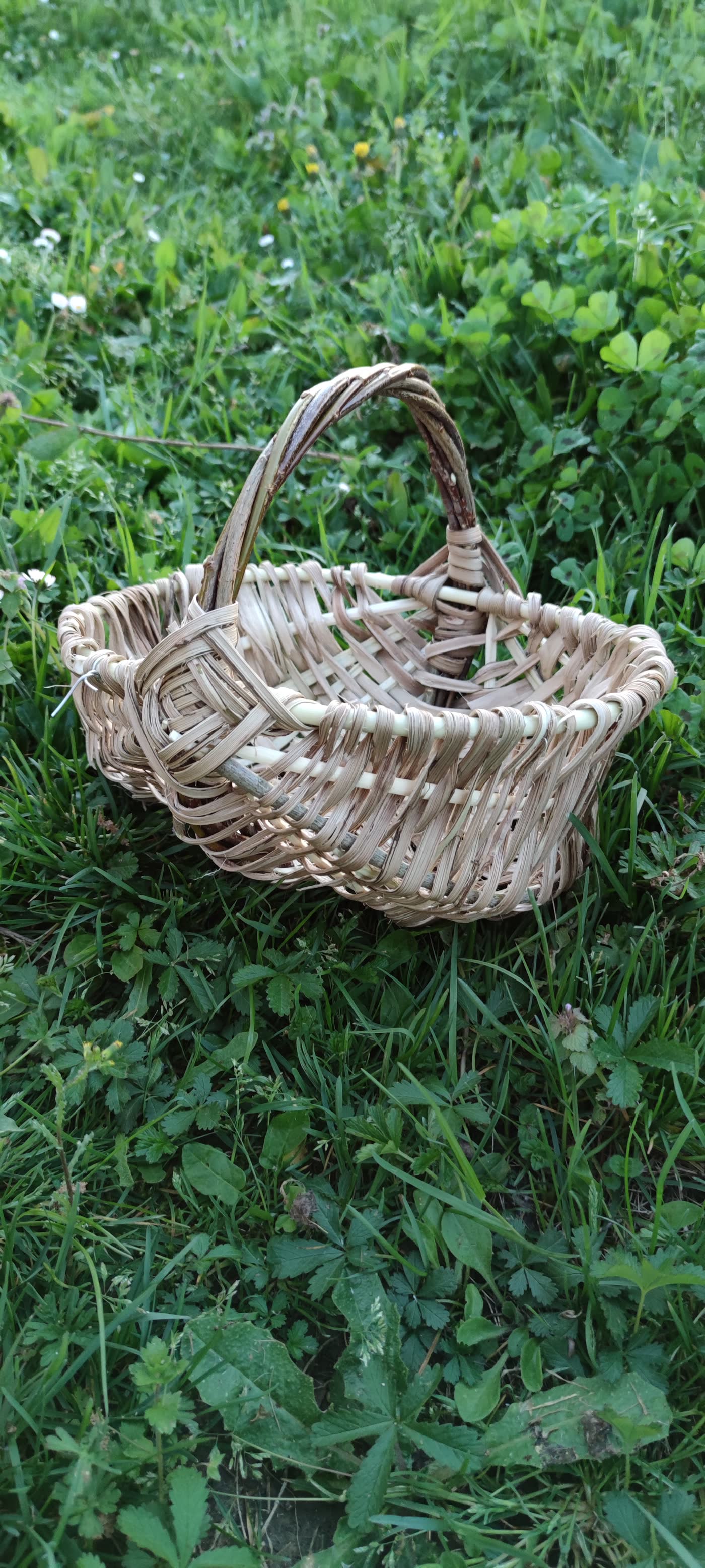 Panier en vannerie sauvage posé dans l'herbe